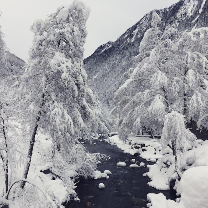 Chalet De Charme A Saint Lary - Vignec المظهر الخارجي الصورة